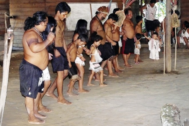 Preparing for the bullet ant dance